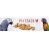 Psittacus