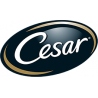 Cesar