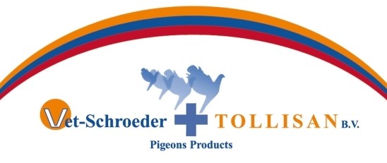 Schroeder - Tollisan