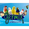 Germix