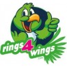 Smisdom Plastics - Rings 4 Wings
