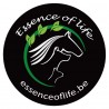 Essence Of Life