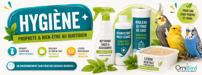  Hygiène 