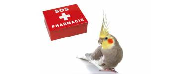  Soins 