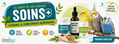  Soins 
